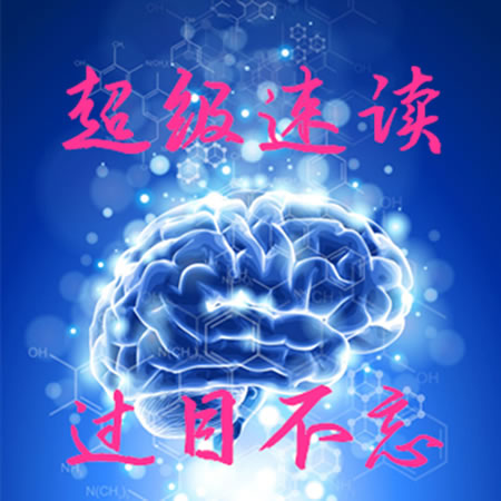 过目不忘的速读记忆法