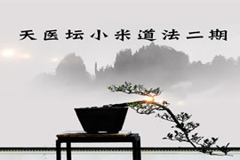 小米道法第二期：大道至简的实用法门